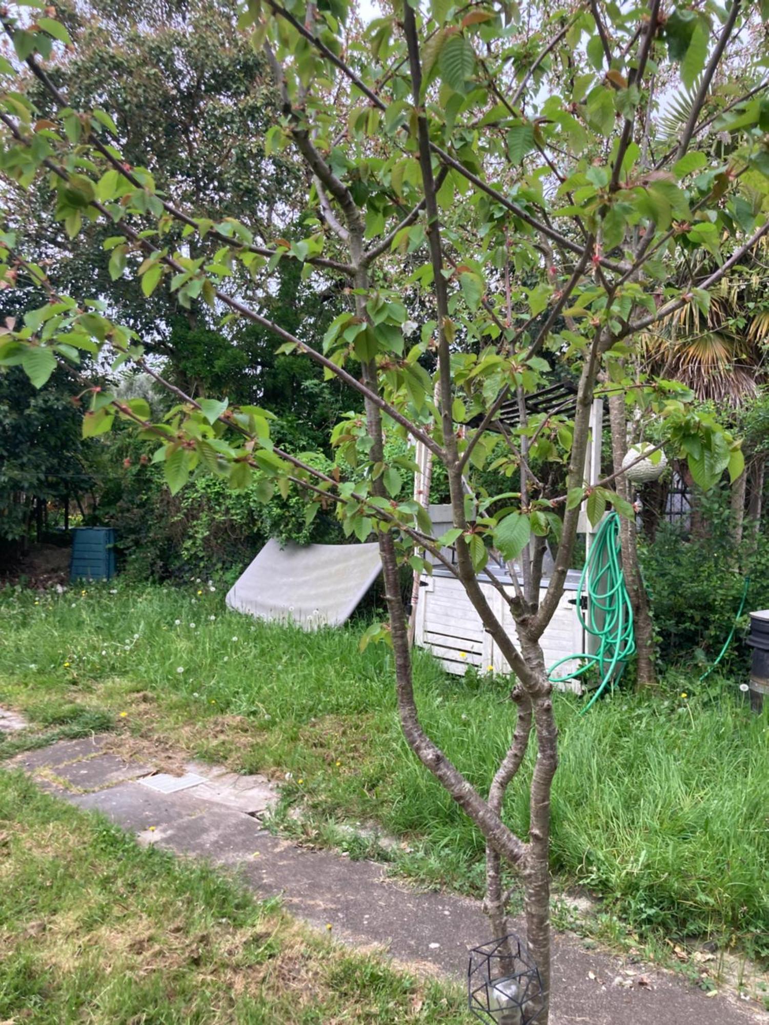 Maison De Campagne A La Ville วีเนิฟ-โซร์-ล็อต ภายนอก รูปภาพ